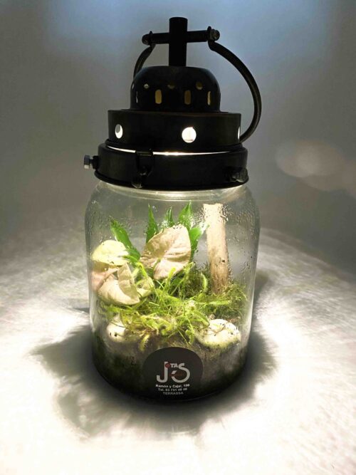 Terrario led - Imagen 2