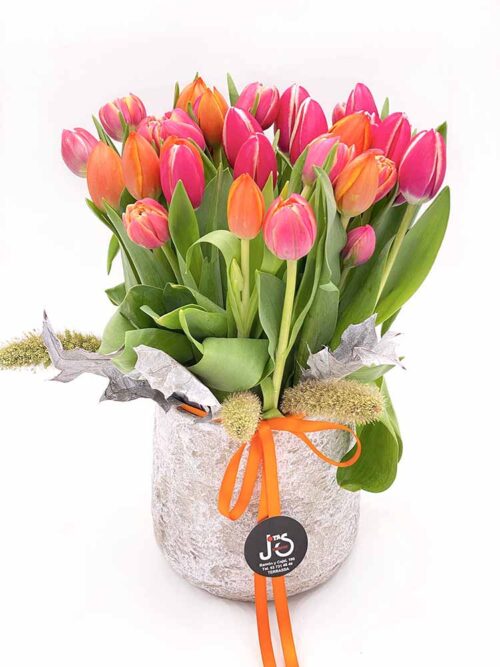 Ramo de 30 tulipanes de colores