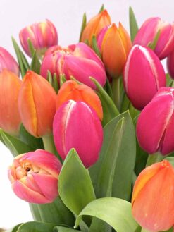 Alternative view of Jarrón Tulipanes