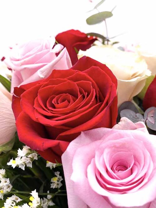 Ramo de 20 rosas de colores
