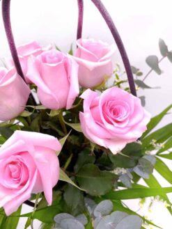 Ramo de 6 rosas de color de Rosa