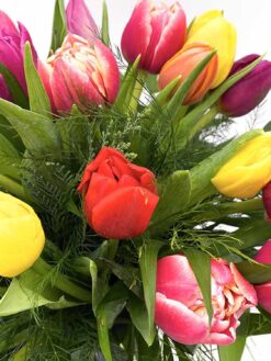 Ramo 20 Tulipanes de colores variados