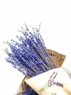 Lavanda liofilizada seca