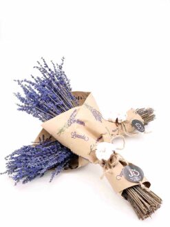 Lavanda liofilizada seca