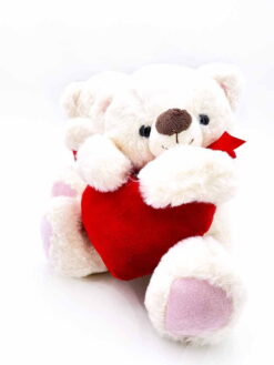 Oso de peluche con corazón Terrassa