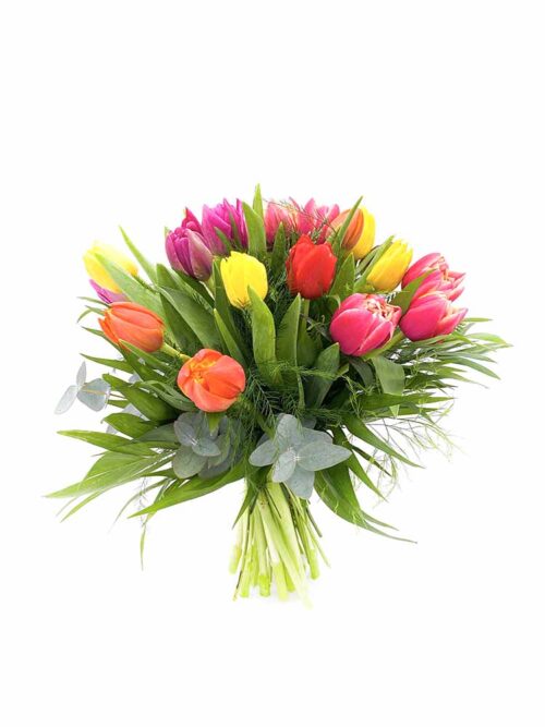 Ramo de 20 tulipanes de colores