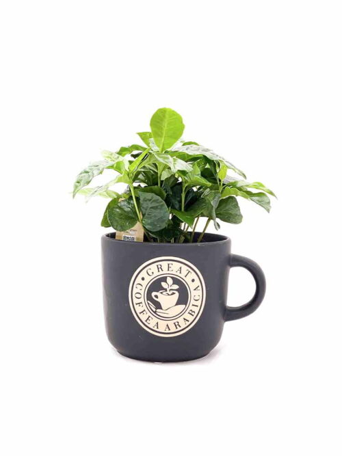 Taza de Café - Imagen 2