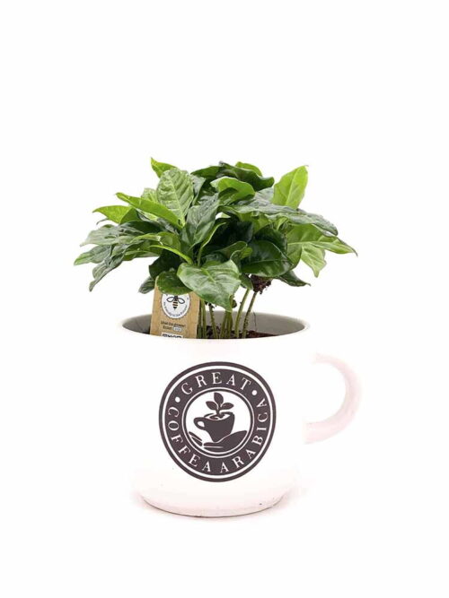 Taza de Café - Imagen 3