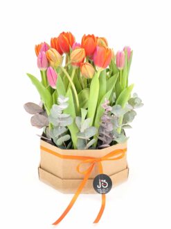 Centro de tulipanes