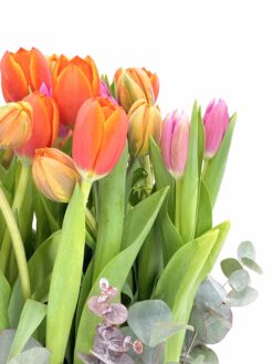 envio a domicilio Rubi