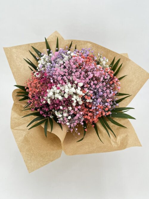Paniculata, Un ramo de flores naturales de gipsófila pequeñitas y muy coloridas, son de larga duración