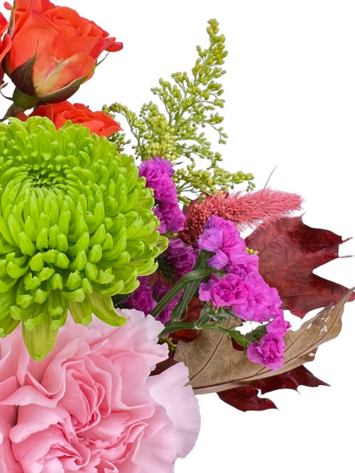 flores y plantas con envió a domicilio en sabadell en menos de 24 horas