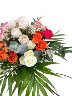 Alternative view of Bag Pitimini