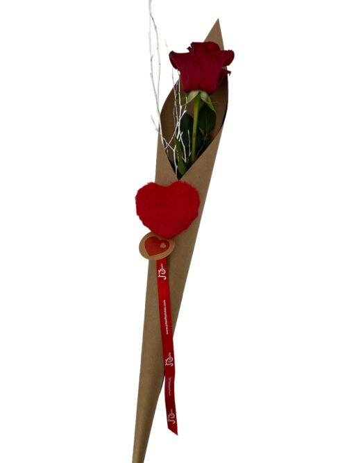 Rosa Amor - Imagen 4