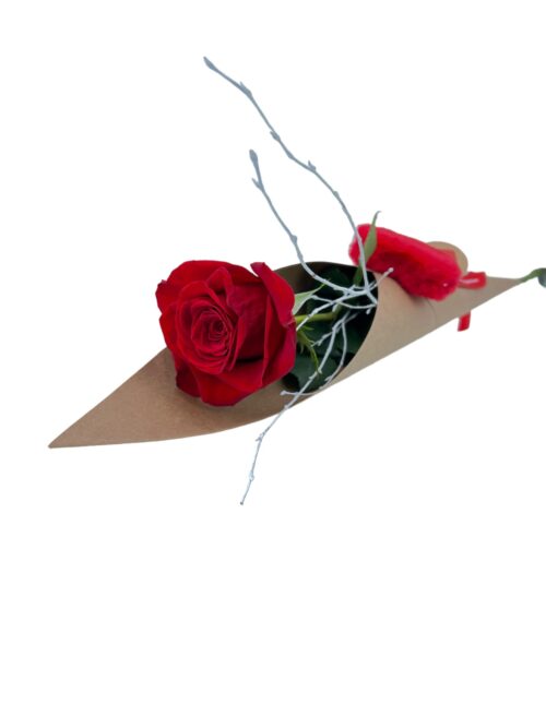 Rosa Amor - Imagen 3