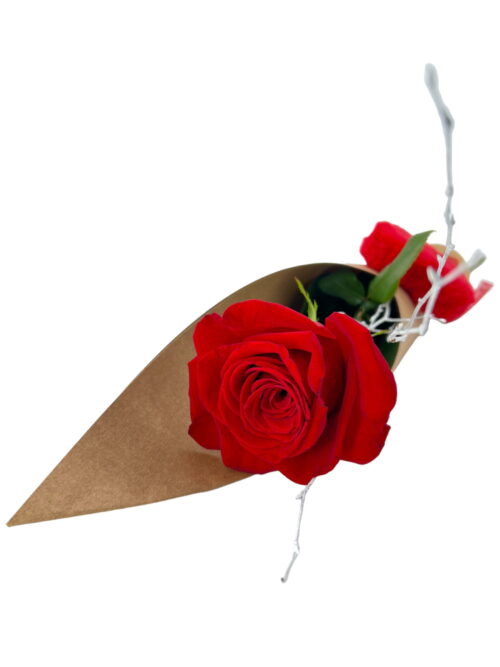 Rosa Amor - Imagen 2
