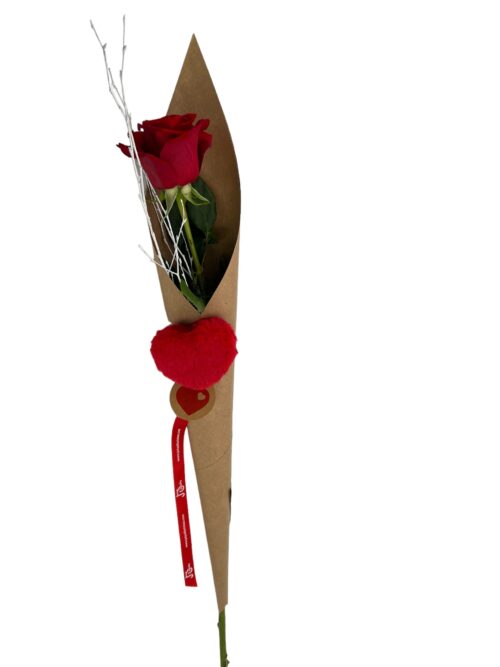 Rosa Amor - Imagen 5