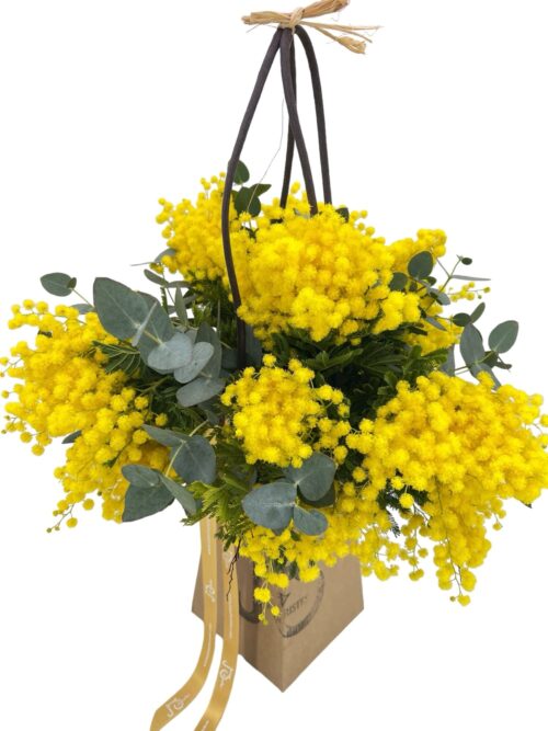Bag Mimosa