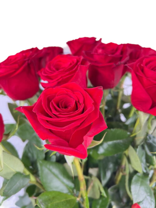 Ramo de Rosas Terrassa - Imagen 3