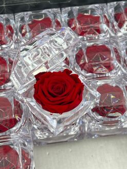 Alternative view of Diamante