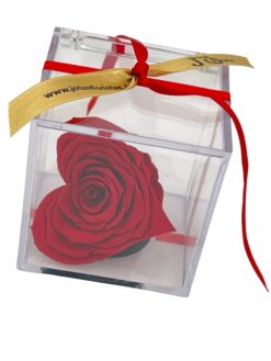 Alternative view of Cubic