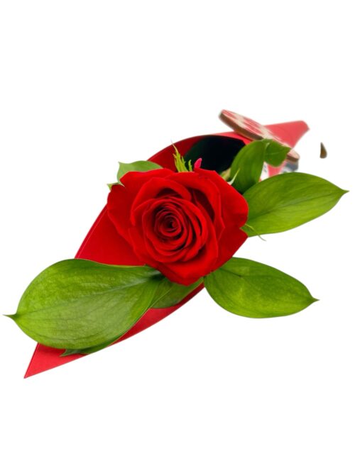 Rosa LOVE - Imagen 4