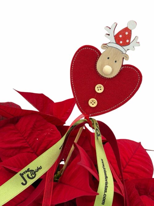 Poinsettia Kraft - Imagen 3