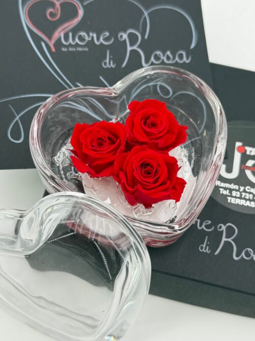 Cuore - Imagen 3