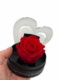 Alternative view of Love