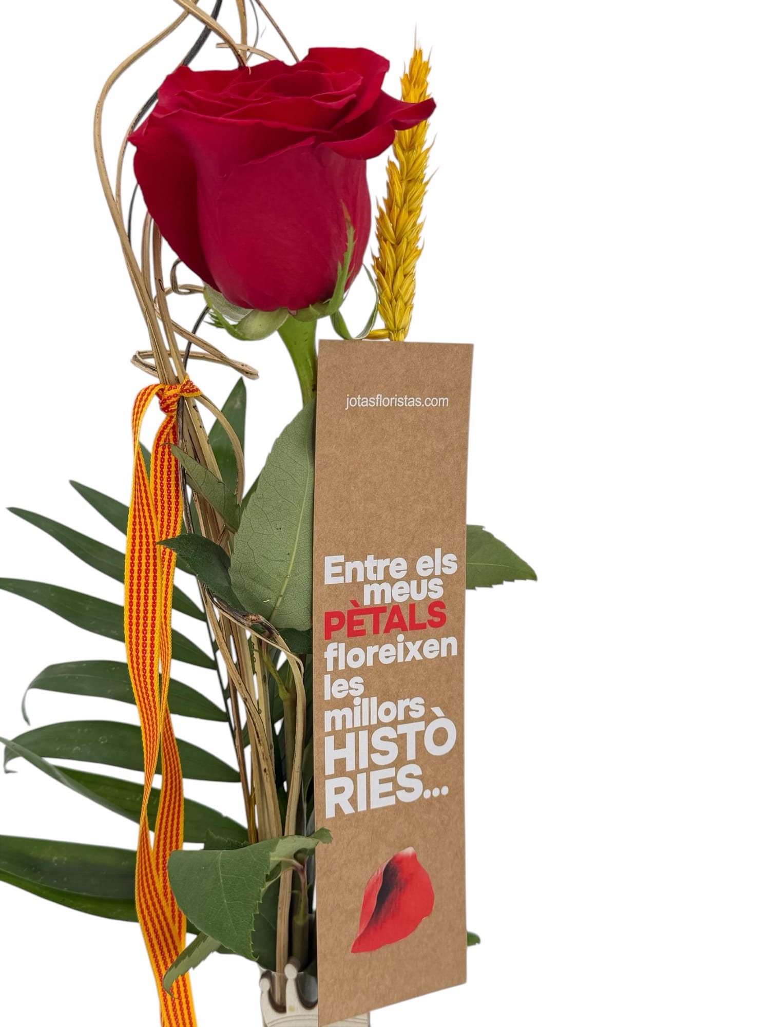 Alternative view of Drac Torre