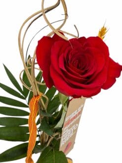 Alternative view of Princesa