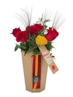 Ram Sant Jordi