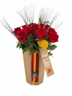 Alternative view of Sant Jordi