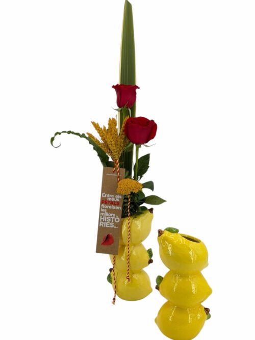 Parelleta - Imagen 5