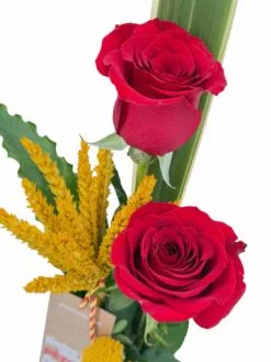 Alternative view of Parelleta