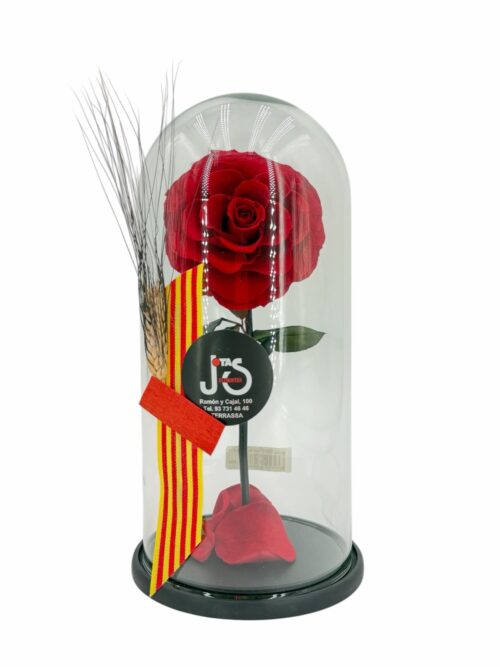 Rosa Eterna XXL, La Bella y La Bestia - Imagen 3