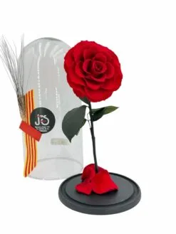 Rosa Eterna XXL, La Bella y La Bestia