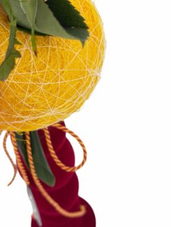 Alternative view of Rosa Terrassa