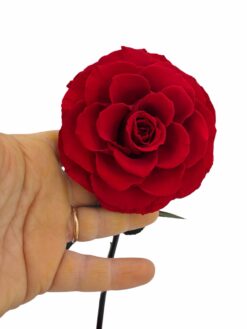 Alternative view of Rosa Eterna XXL, La Bella y La Bestia