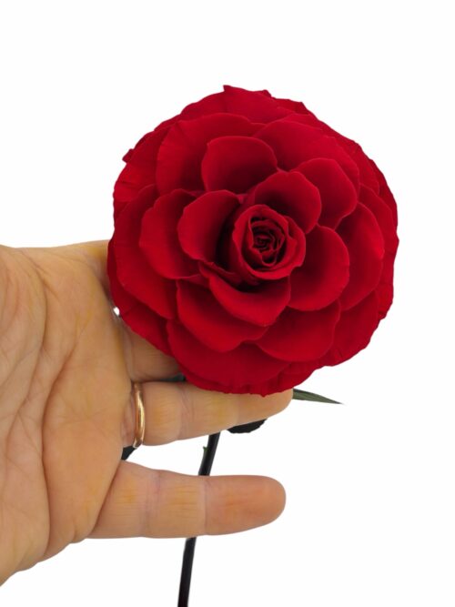 Rosa Eterna XXL, La Bella y La Bestia - Imagen 2