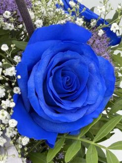 bag blue