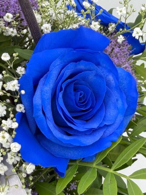 bag blue