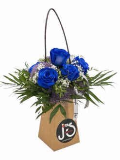 Bag Blue
